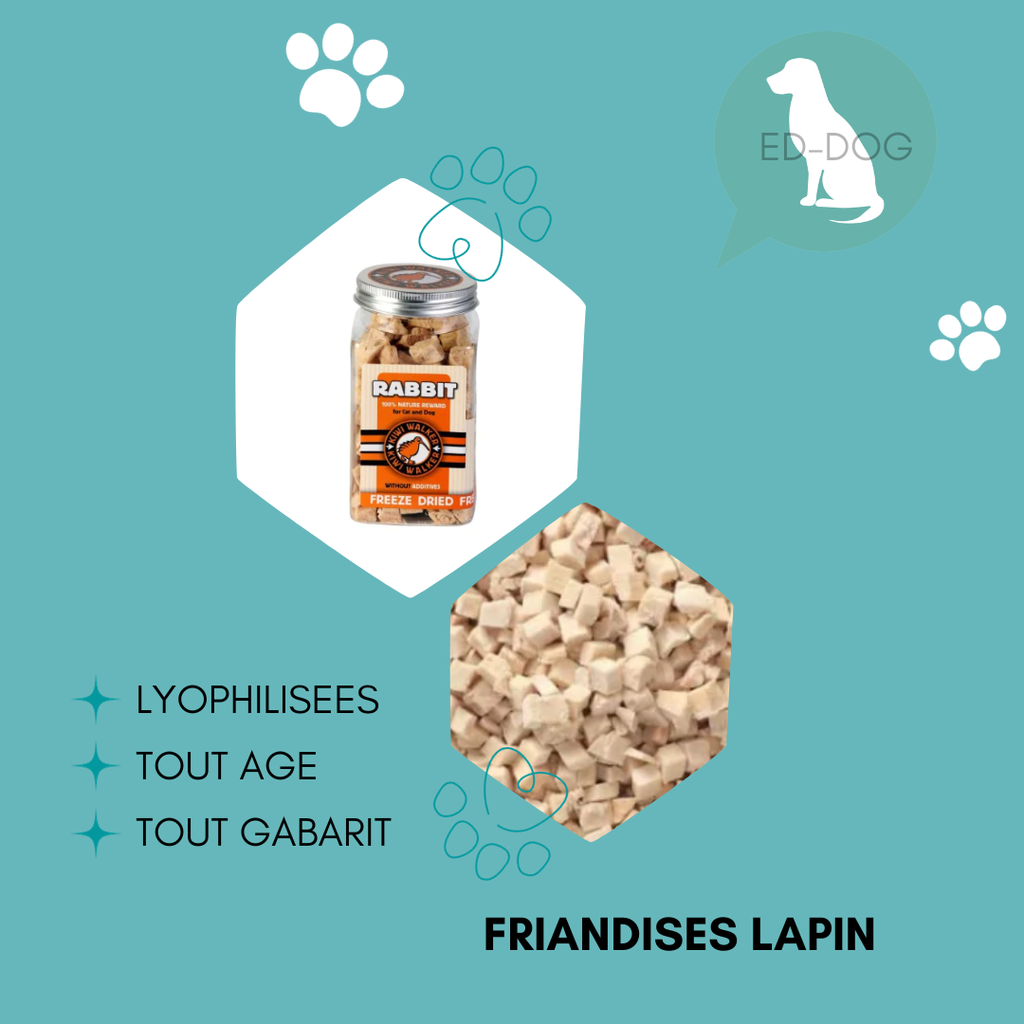 Friandise lyophilisée naturelle