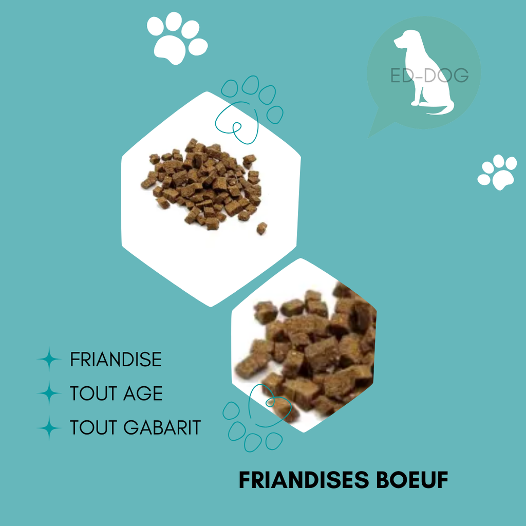 Friandise au boeuf - 100g