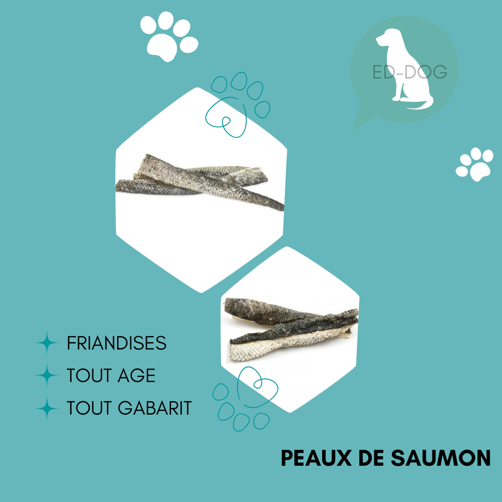 Peau de saumon séchée - 100g