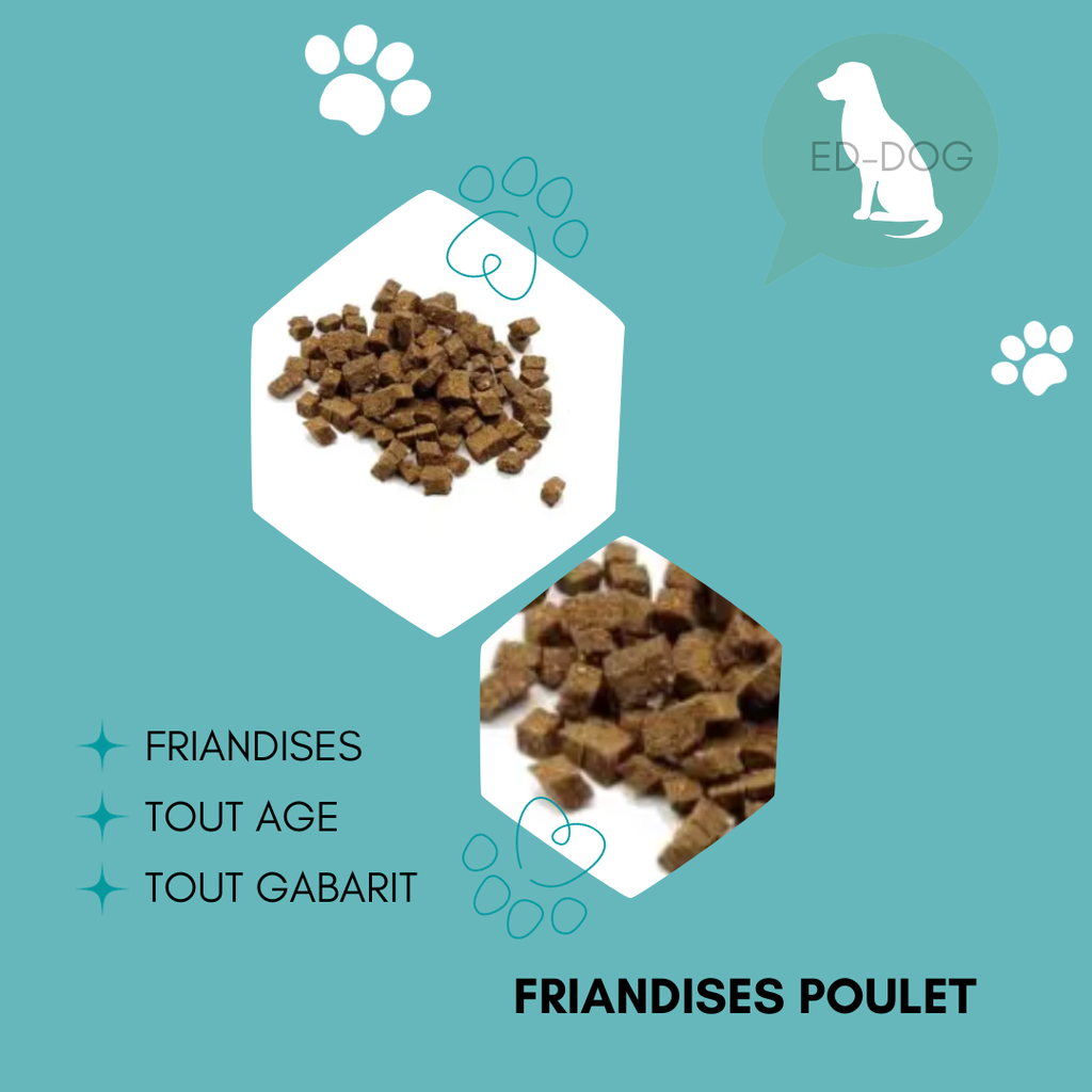 Friandise au poulet - 100g et 1kg