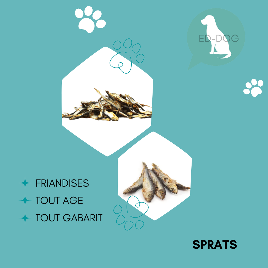 Sprats - 100g et 1kg