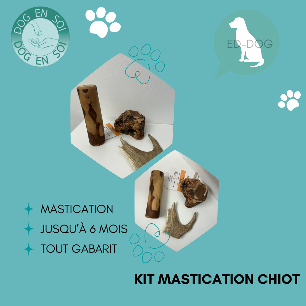 Kit mastication chiot - 5 tailles