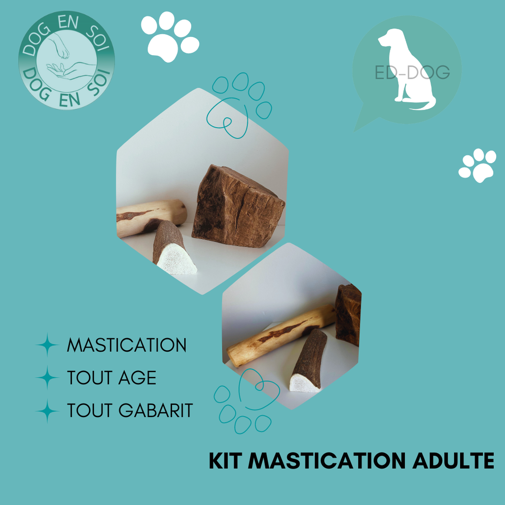 Kit mastication adulte - 5 tailles