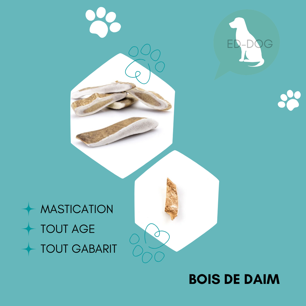 Bois de daim - 5 tailles