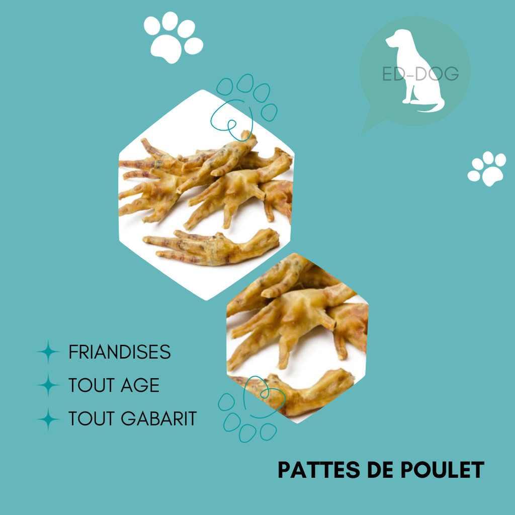 Patte de poulet - 10 pièces