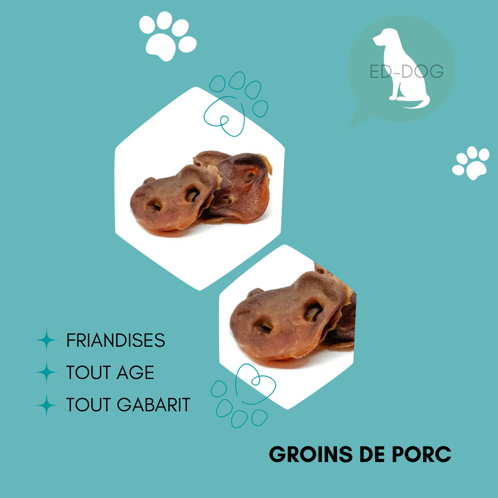 Groin de porc - 5 pièces