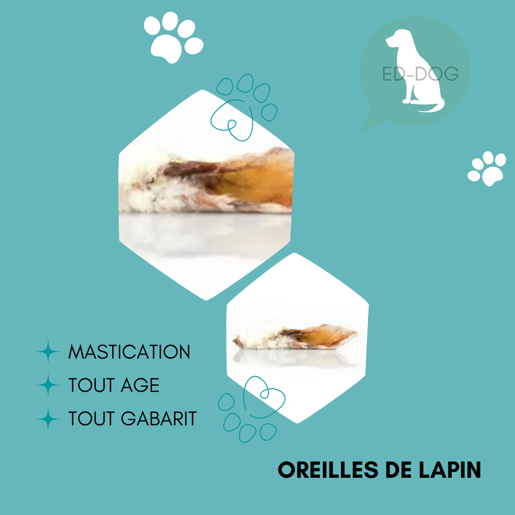 Oreille de lapins avec poils - 250g