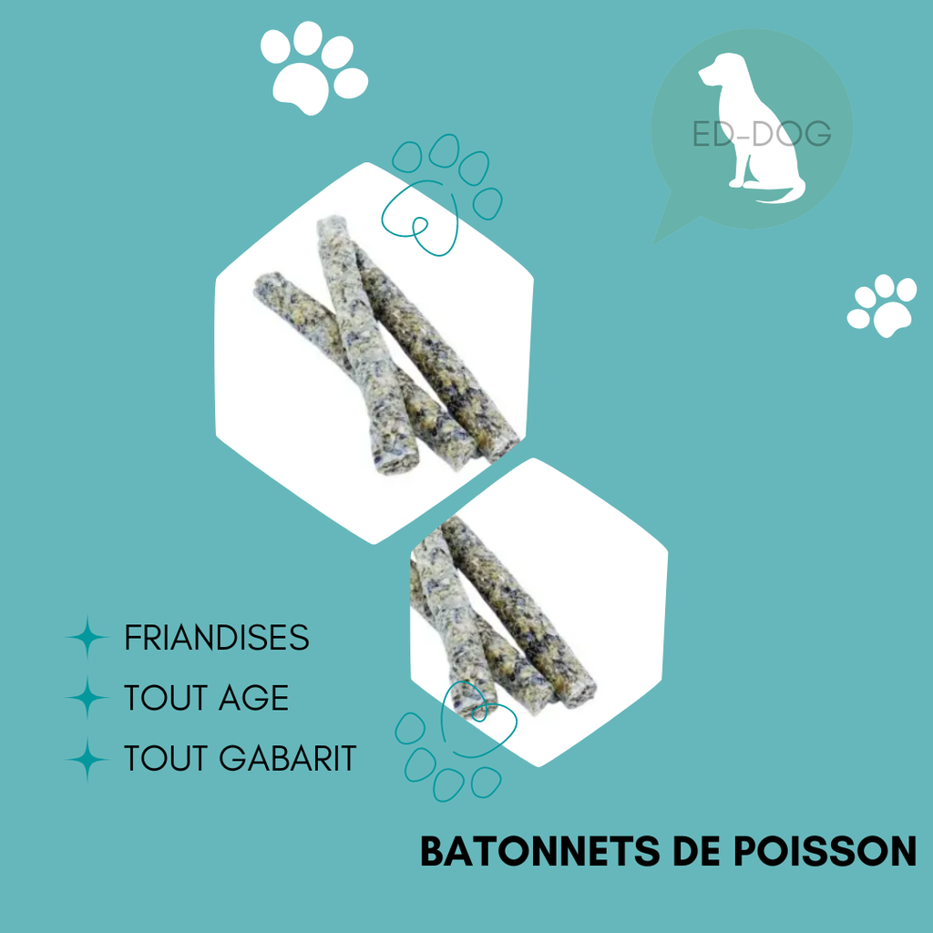 Bâtonnet de poisson