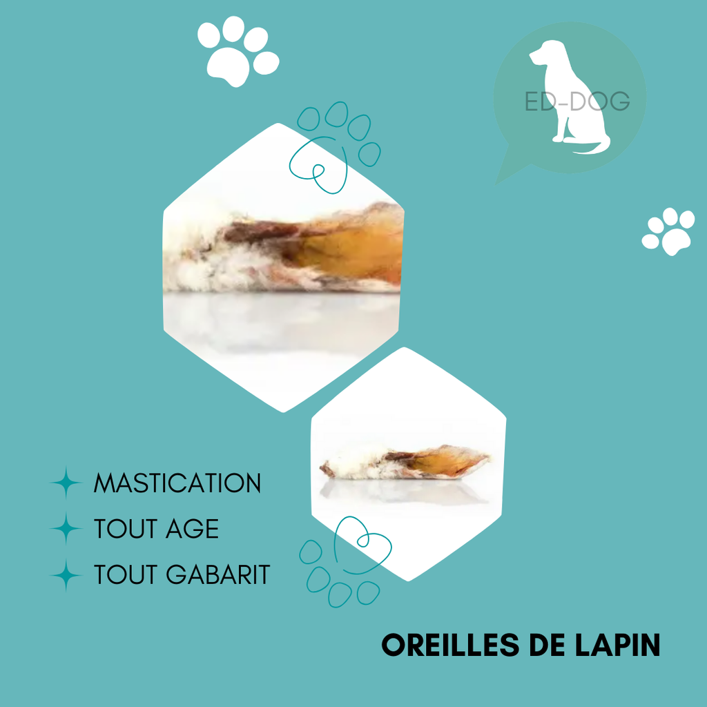 Oreille de lapins sans poils - 100g
