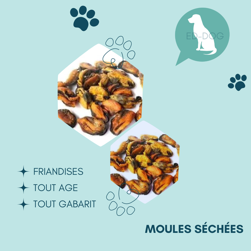 Moules séchées - 100g