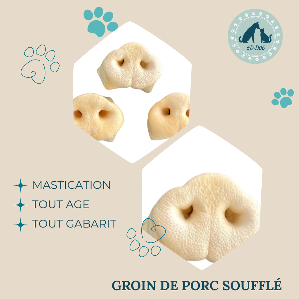 Groin de porc blanc soufflé - 1 pièce