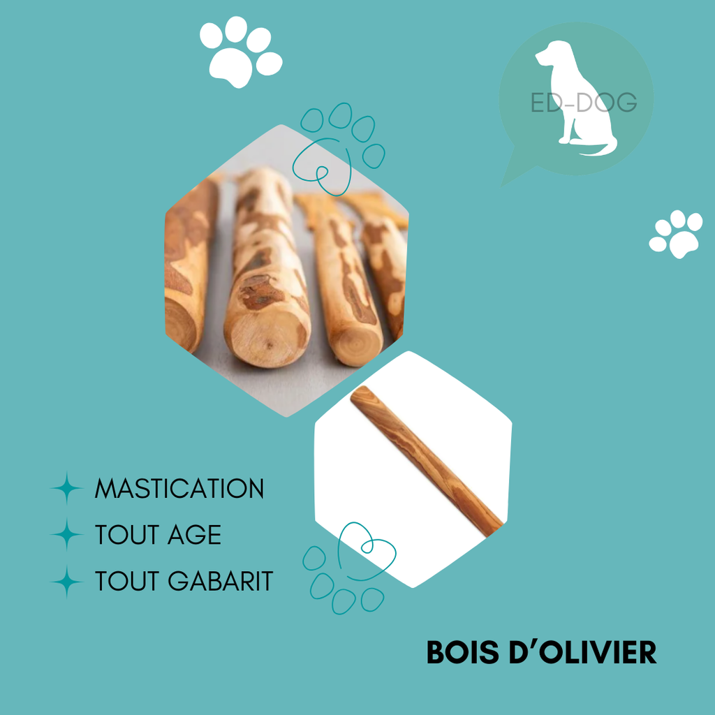 Bois d'olivier - 5 tailles