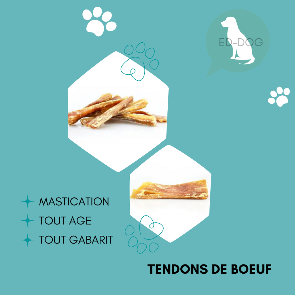 Tendon de bœuf - 400 g